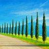 Tuscany Italian Cypress Trees diamond painting