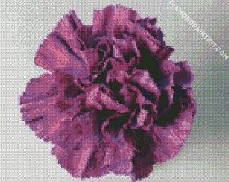 Violet Carnation diamond painting