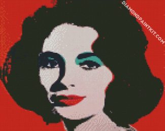 Warhol diamond painting