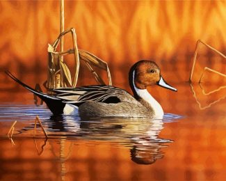 Waterfowl Duck diamond painting