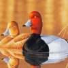 Waterfowls diamond painting