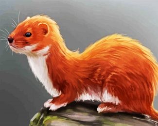 Weasel diamond painting