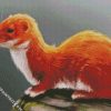 Weasel diamond painting