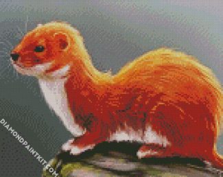 Weasel diamond painting