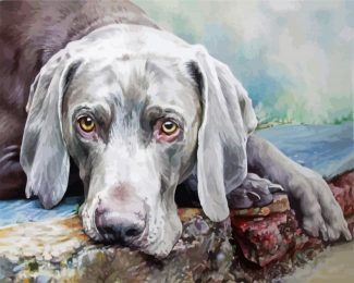 Weimaraner Dog Illustration diamond painting