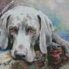 Weimaraner Dog Illustration diamond painting