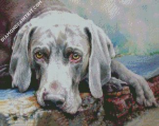 Weimaraner Dog Illustration diamond painting