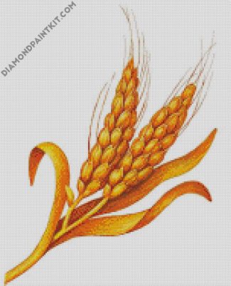 Wheat diamond painting