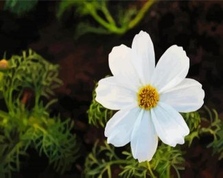 White Cosmos Flower diamond painting