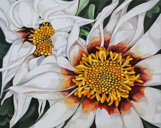 White Gazania diamond painting