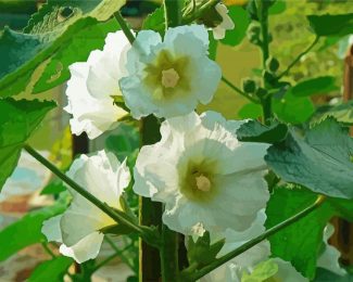 White Hollyhocks Flowers diamond painting