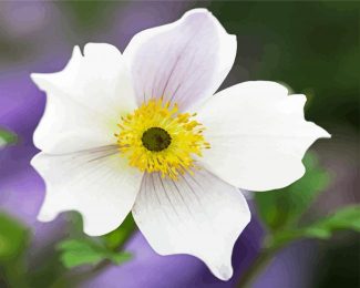 White Anemone diamond painting