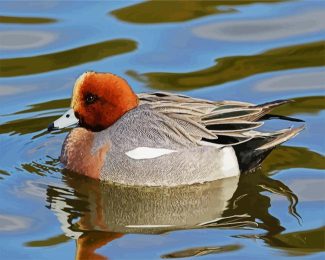 Wigeon diamond painting