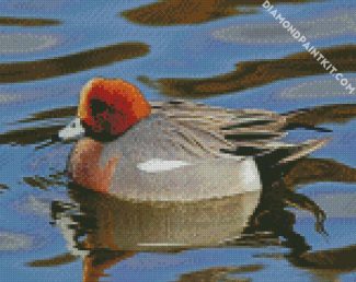 Wigeon diamond painting