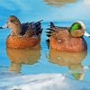 Wigeon Birds diamond painting