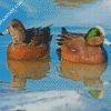 Wigeon Birds diamond painting