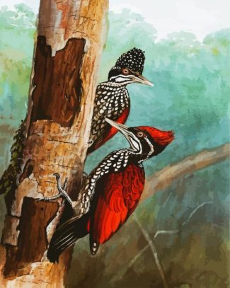 Woodpeckers Birds diamond painting