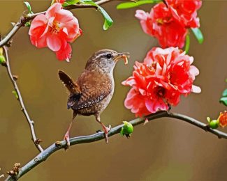 Wren On Flowers Branch diamond painting