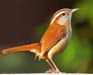 Wren diamond painting