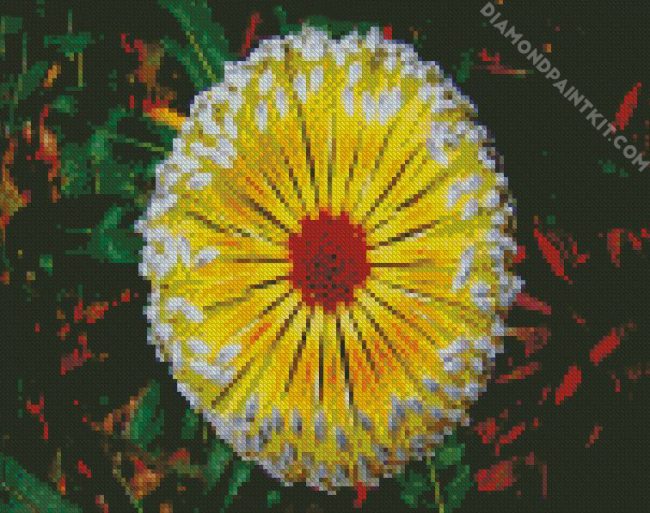 Yellow Blooming Banksia Flower diamond painting