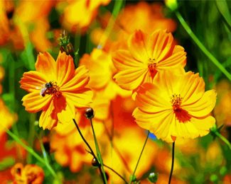 Yellow Cosmos Flowers diamond painting