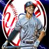 Aaron Judge Ny Yankee diamond painting