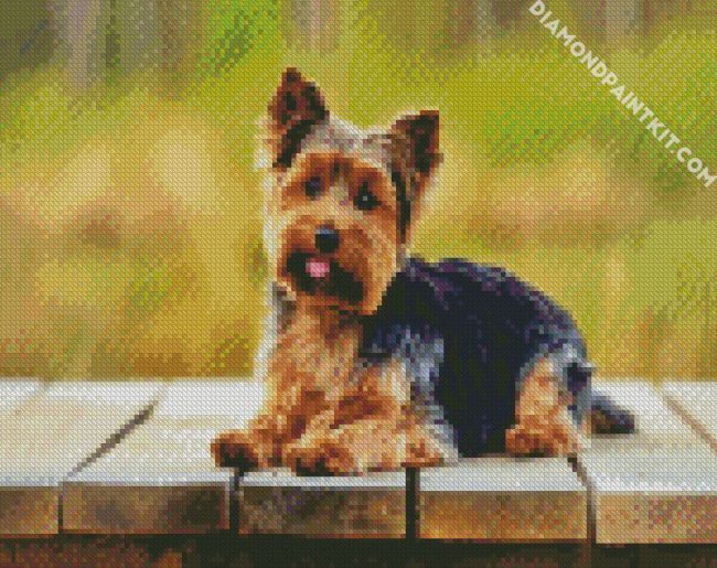 Adorable Yorkie Dog diamond painting