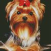 Adorable Yorkie Puppdiamond painting