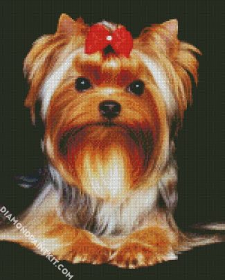 Adorable Yorkie Puppdiamond painting