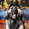 Aesthetic Belgian Tervuren diamond painting