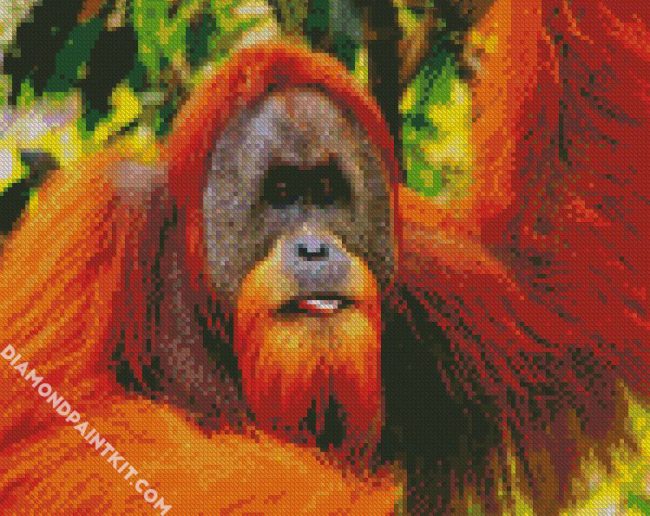 Aesthetic Orangutan diamond painting