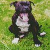 Aesthetic Staffordshire Bull Terrier diamond painting