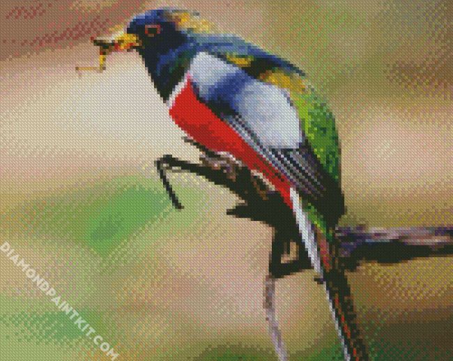 Aesthetic Trogon diamond painting