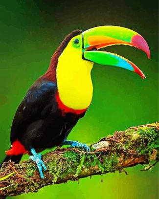 Aesthetic Tucan Bird Animal diamond painting