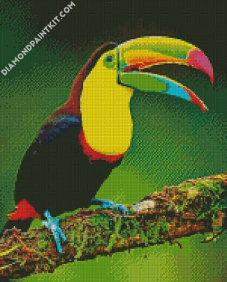 Aesthetic Tucan Bird Animal diamond painting