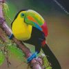 Aesthetic Tucan Bird diamond painting