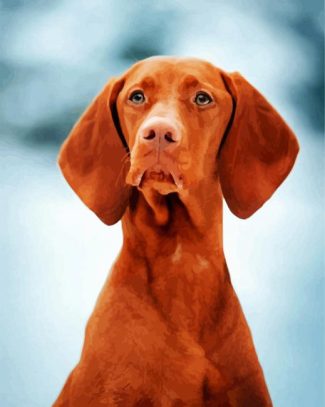 Aesthetic Vizsla Dog diamond painting