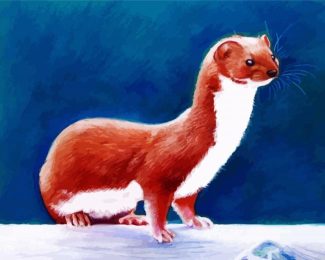 Aesthetic Weasel Animal diamond painting