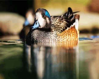 Aesthetic Wigeon diamond painting