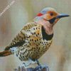 Aesthetic Woodpecker Bird diamond painting