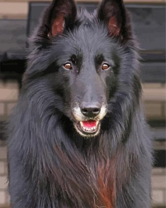 Aesthetic Black Belgian Tervuren diamond painting