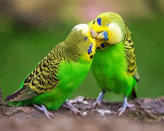 Aesthetic Budgerigars diamond painting