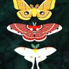 Aesthetic Butterfly Aesthetic Butterfly diamond painting