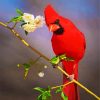 Aesthetic Red Cardinal Bird diamond painting