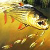 Aesthetic Tiger fish diamond painting