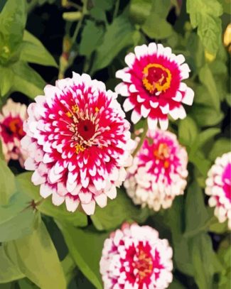 Aesthetic Zinnias diamond painting