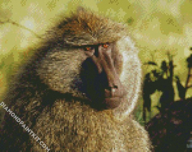 Baboon Animal diamond painting