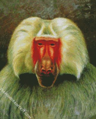 Baboon Art diamond painting