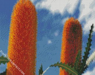 Banksia Flower Plants diamond painting