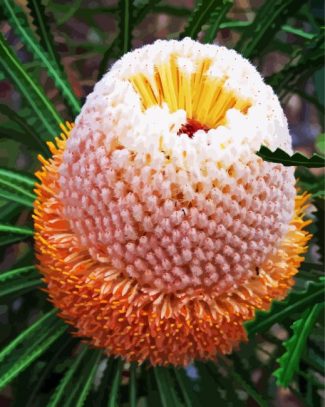 Banksia diamond painting